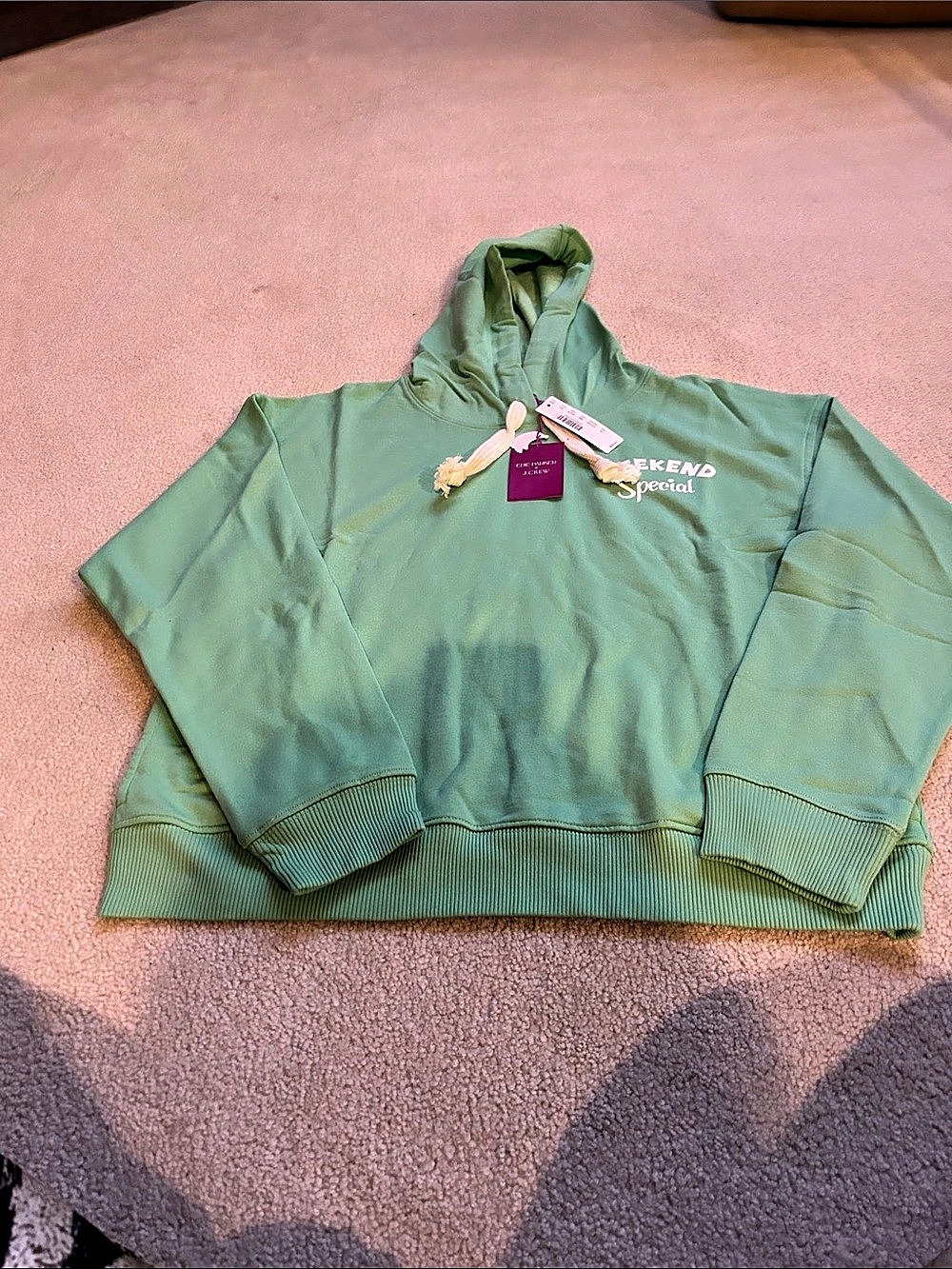 Edie Parker x J.Crew Weekend Special Hoodie Graphic Hoodie in Green & Pink Size
